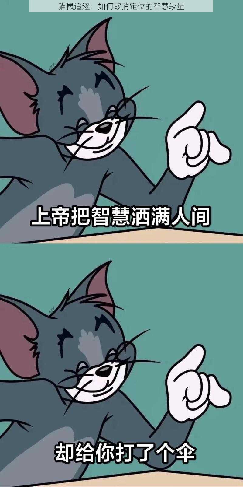 猫鼠追逐：如何取消定位的智慧较量