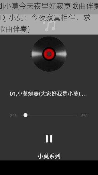 dj小莫今天夜里好寂寞歌曲伴奏(DJ 小莫：今夜寂寞相伴，求歌曲伴奏)