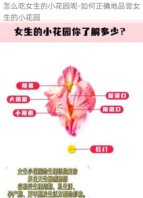 怎么吃女生的小花园呢-如何正确地品尝女生的小花园