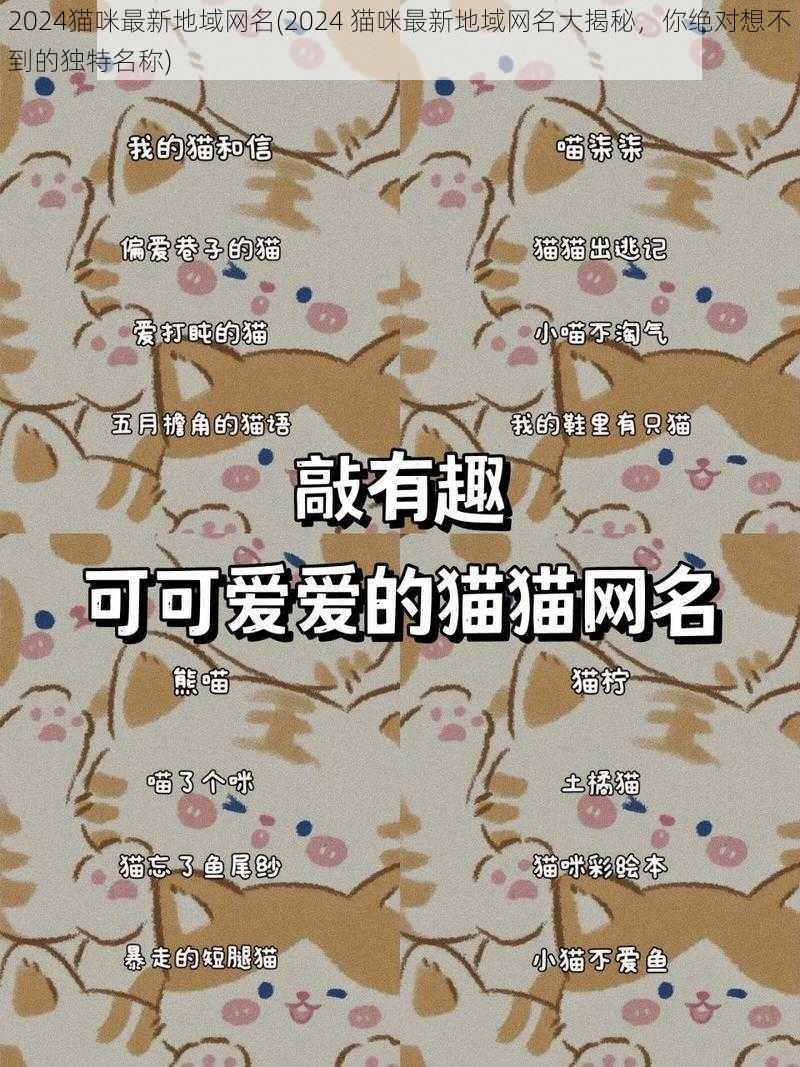 2024猫咪最新地域网名(2024 猫咪最新地域网名大揭秘，你绝对想不到的独特名称)