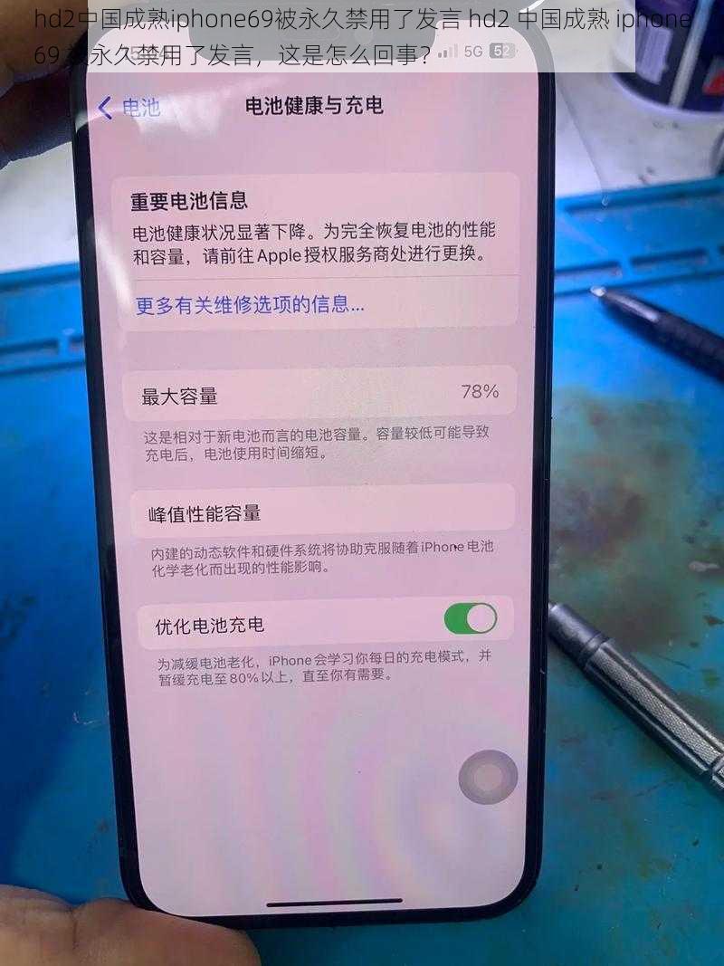 hd2中国成熟iphone69被永久禁用了发言 hd2 中国成熟 iphone69 被永久禁用了发言，这是怎么回事？