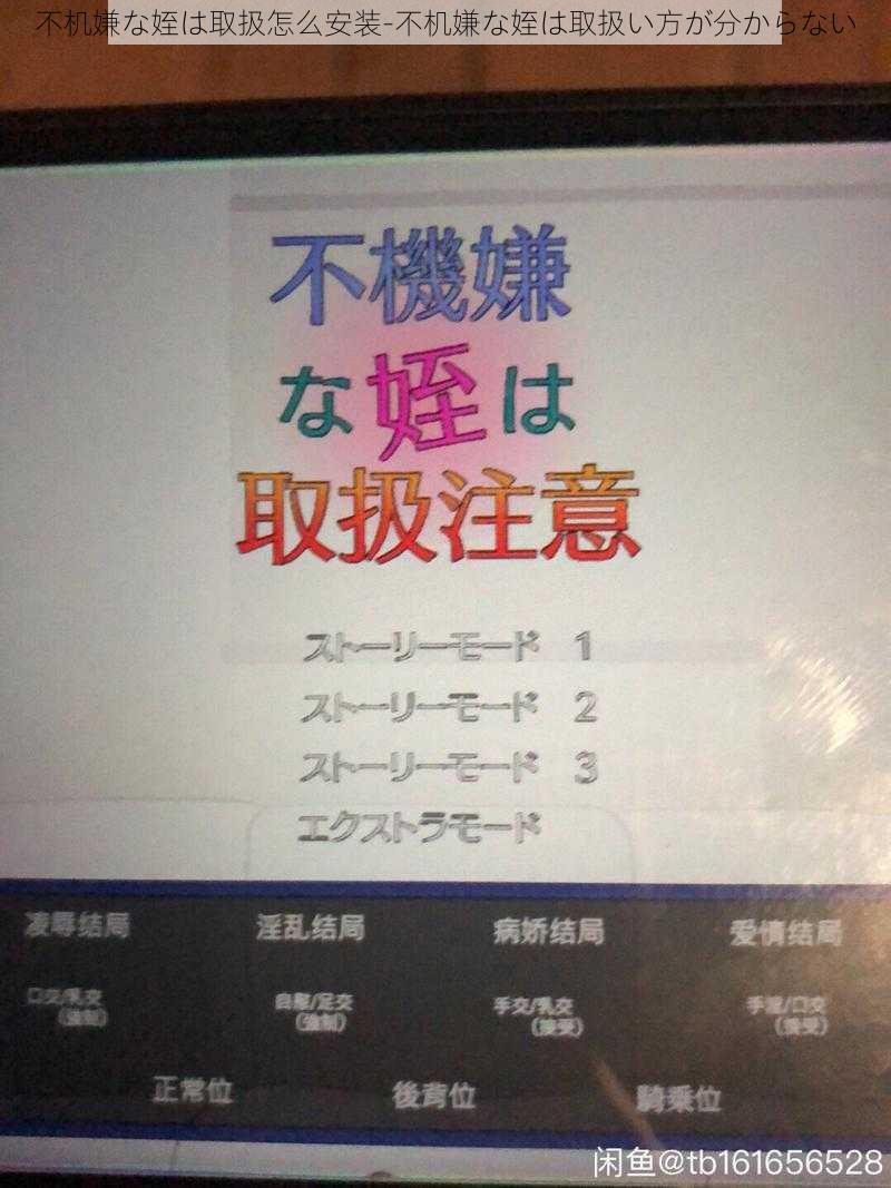 不机嫌な姪は取扱怎么安装-不机嫌な姪は取扱い方が分からない