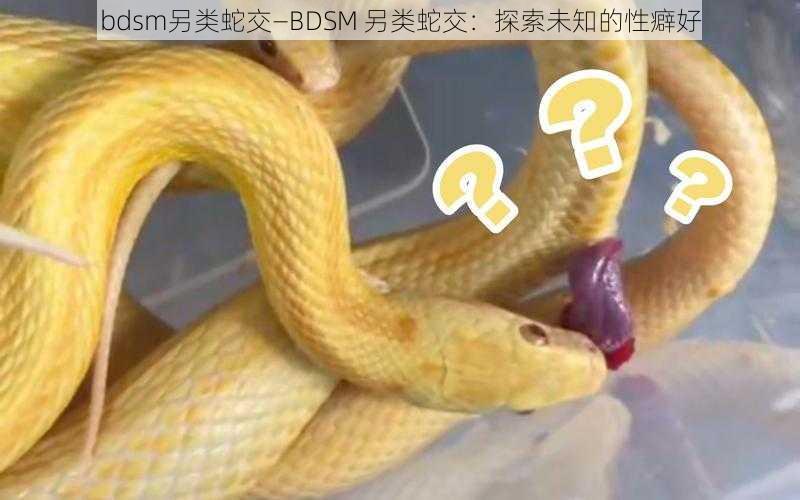 bdsm另类蛇交—BDSM 另类蛇交：探索未知的性癖好