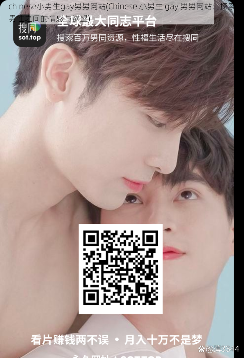 chinese小男生gay男男网站(Chinese 小男生 gay 男男网站：探索男性之间的情感与欲望)