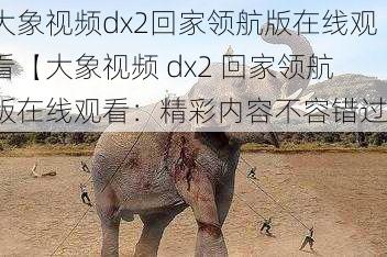 大象视频dx2回家领航版在线观看【大象视频 dx2 回家领航版在线观看：精彩内容不容错过】