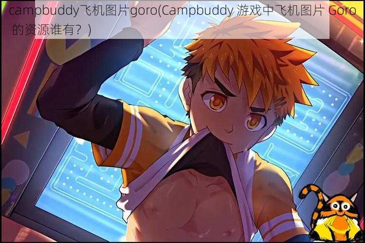 campbuddy飞机图片goro(Campbuddy 游戏中飞机图片 Goro 的资源谁有？)