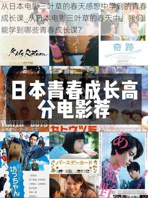 从日本电影三叶草的春天感想中学到的青春成长课_从日本电影三叶草的春天中，我们能学到哪些青春成长课？