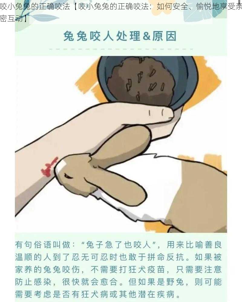 咬小兔兔的正确咬法【咬小兔兔的正确咬法：如何安全、愉悦地享受亲密互动】