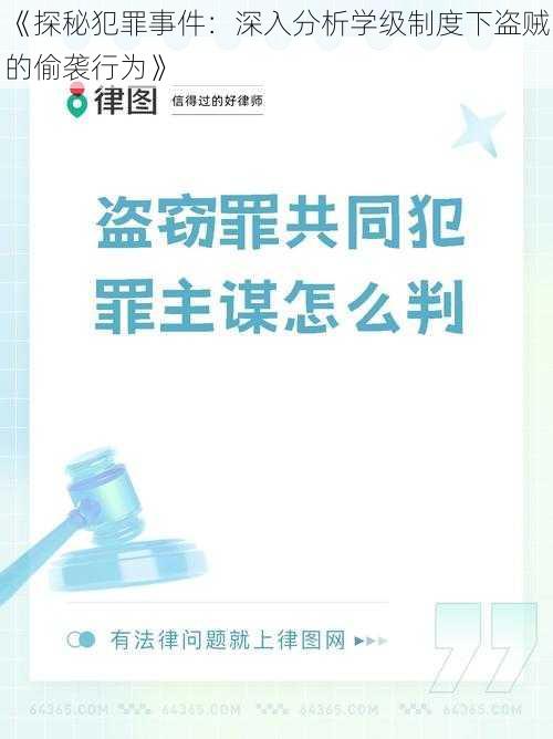 《探秘犯罪事件：深入分析学级制度下盗贼的偷袭行为》