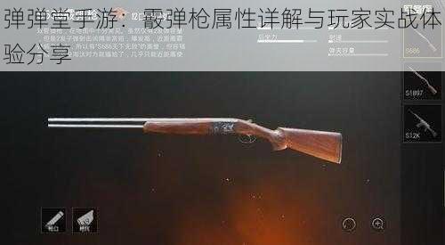 弹弹堂手游：霰弹枪属性详解与玩家实战体验分享