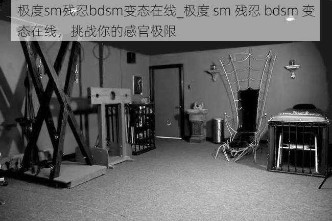 极度sm残忍bdsm变态在线_极度 sm 残忍 bdsm 变态在线，挑战你的感官极限