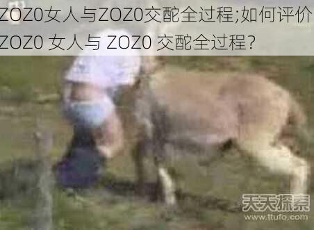 ZOZ0女人与ZOZ0交酡全过程;如何评价 ZOZ0 女人与 ZOZ0 交酡全过程？