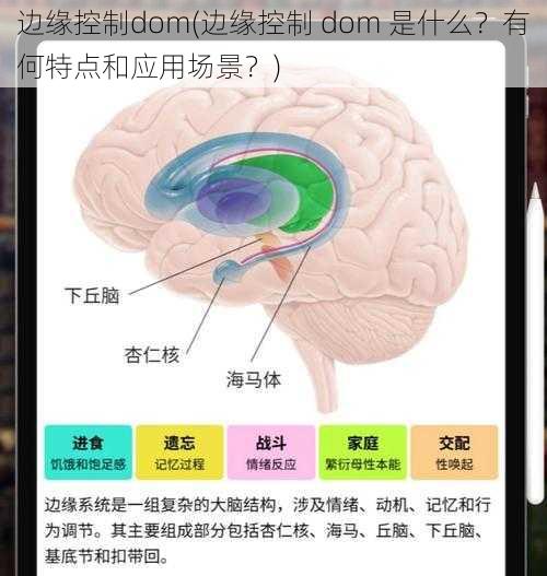 边缘控制dom(边缘控制 dom 是什么？有何特点和应用场景？)