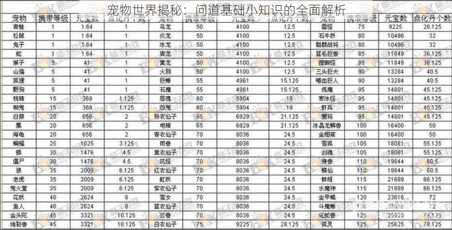 宠物世界揭秘：问道基础小知识的全面解析