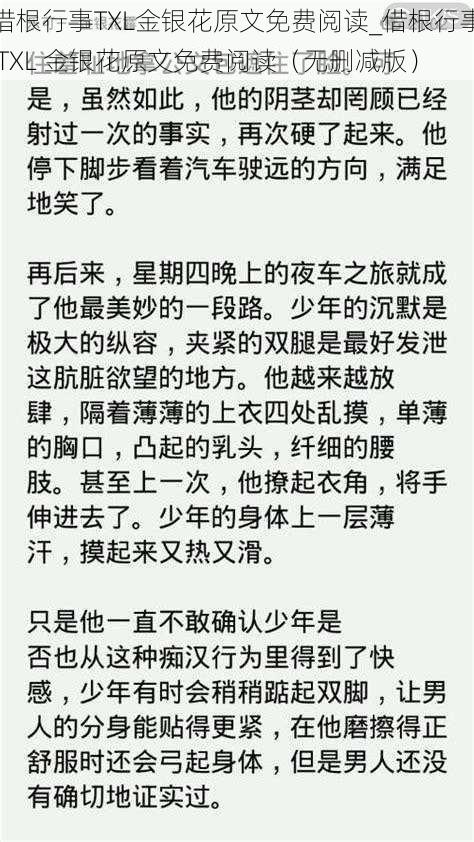 借根行事TXL金银花原文免费阅读_借根行事 TXL 金银花原文免费阅读（无删减版）