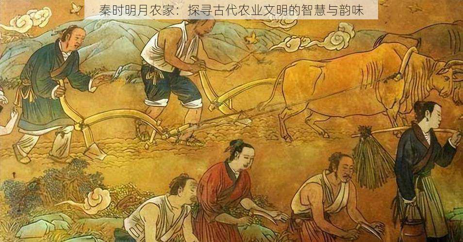 秦时明月农家：探寻古代农业文明的智慧与韵味