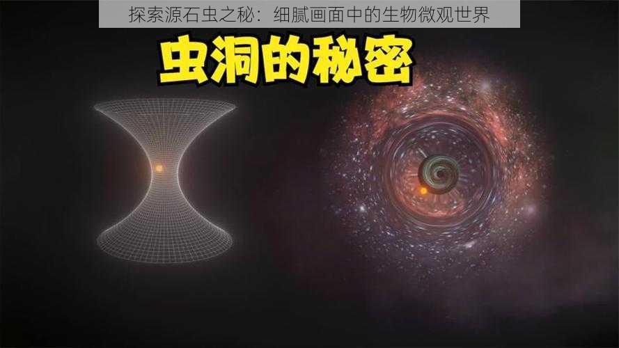 探索源石虫之秘：细腻画面中的生物微观世界