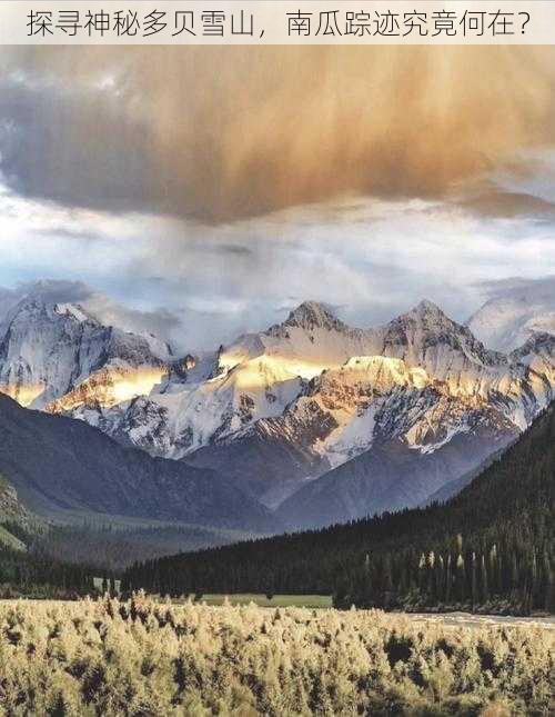 探寻神秘多贝雪山，南瓜踪迹究竟何在？