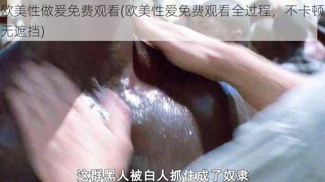 欧美性做爰免费观看(欧美性爱免费观看全过程，不卡顿无遮挡)