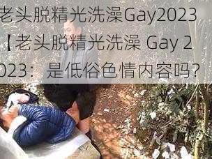 老头脱精光洗澡Gay2023【老头脱精光洗澡 Gay 2023：是低俗色情内容吗？】