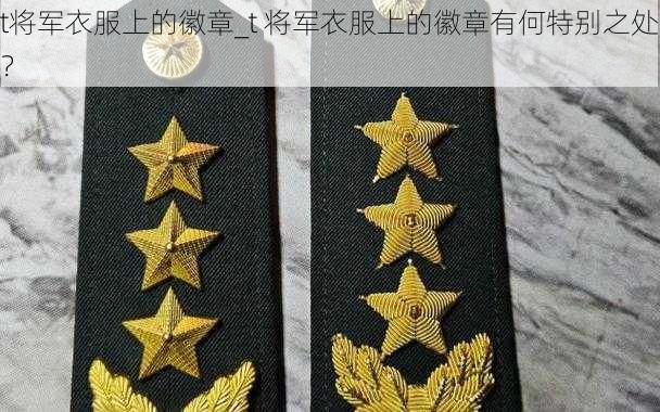 t将军衣服上的徽章_t 将军衣服上的徽章有何特别之处？