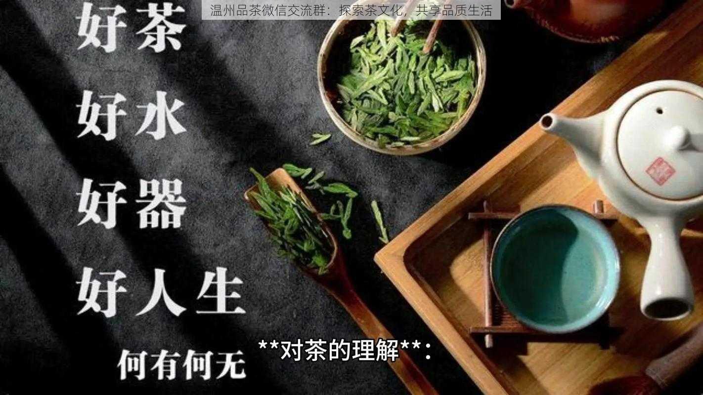 温州品茶微信交流群：探索茶文化，共享品质生活