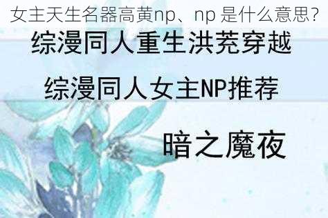 女主天生名器高黄np、np 是什么意思？