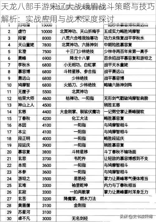 天龙八部手游宋辽大战峨眉战斗策略与技巧解析：实战应用与战术深度探讨