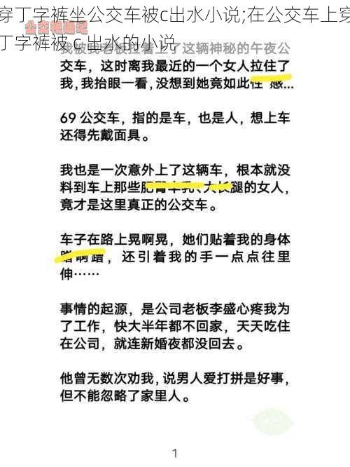 穿丁字裤坐公交车被c出水小说;在公交车上穿丁字裤被 c 出水的小说