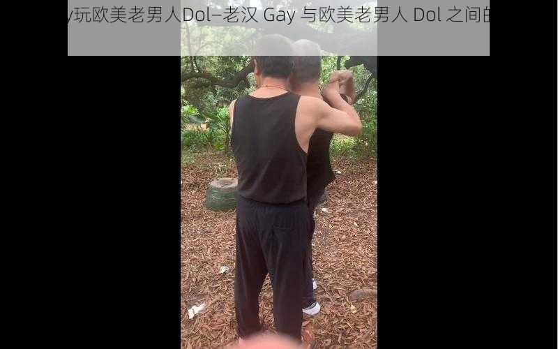 老汉Gay玩欧美老男人Dol—老汉 Gay 与欧美老男人 Dol 之间的复杂关系