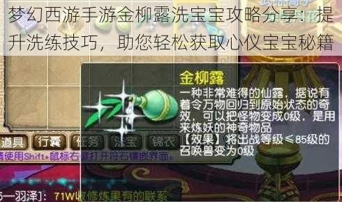 梦幻西游手游金柳露洗宝宝攻略分享：提升洗练技巧，助您轻松获取心仪宝宝秘籍