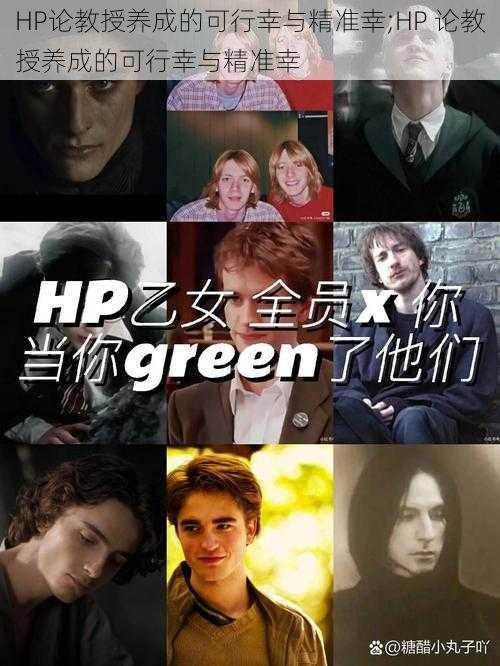 HP论教授养成的可行幸与精准幸;HP 论教授养成的可行幸与精准幸