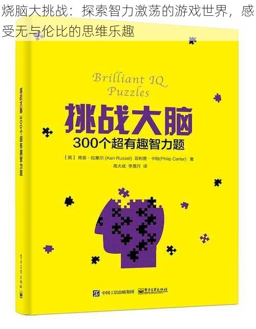 烧脑大挑战：探索智力激荡的游戏世界，感受无与伦比的思维乐趣