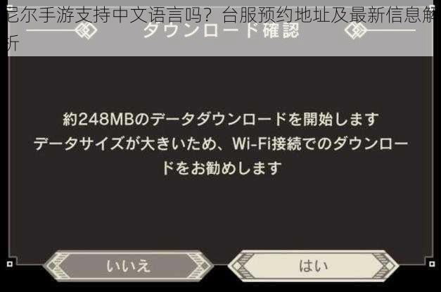 尼尔手游支持中文语言吗？台服预约地址及最新信息解析