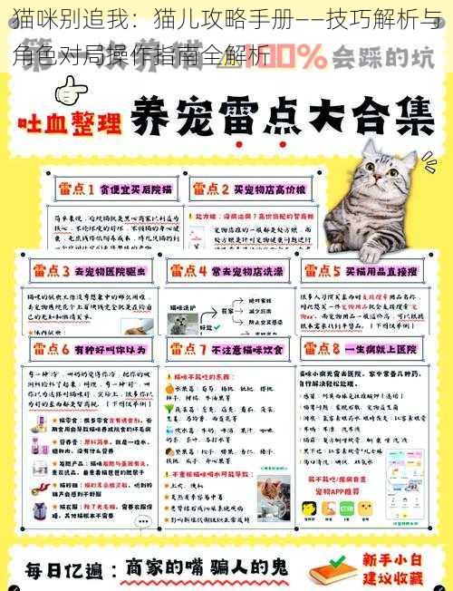 猫咪别追我：猫儿攻略手册——技巧解析与角色对局操作指南全解析