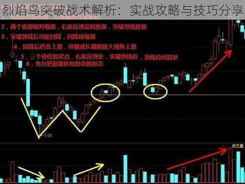 烈焰鸟突破战术解析：实战攻略与技巧分享