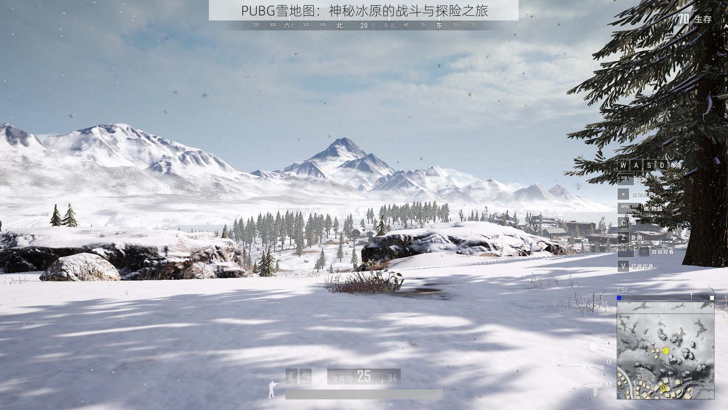 PUBG雪地图：神秘冰原的战斗与探险之旅