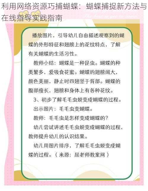 利用网络资源巧捕蝴蝶：蝴蝶捕捉新方法与在线指导实践指南