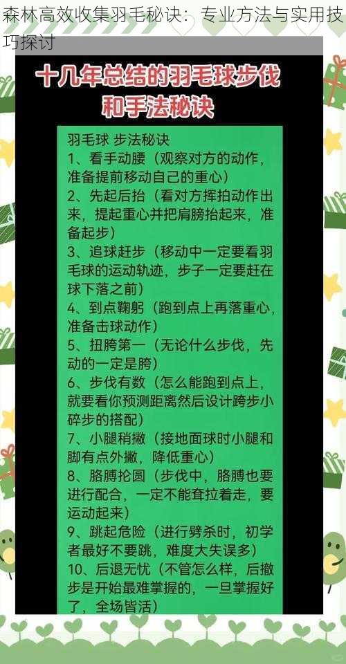 森林高效收集羽毛秘诀：专业方法与实用技巧探讨