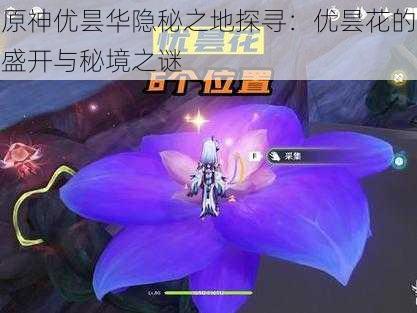 原神优昙华隐秘之地探寻：优昙花的盛开与秘境之谜