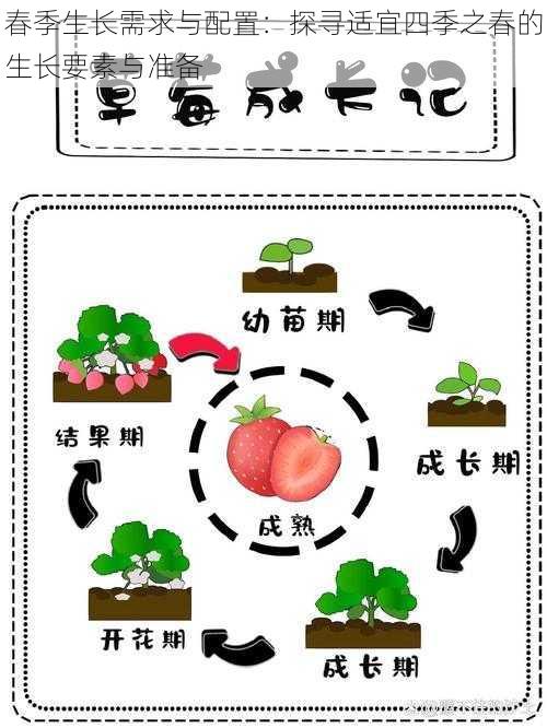 春季生长需求与配置：探寻适宜四季之春的生长要素与准备