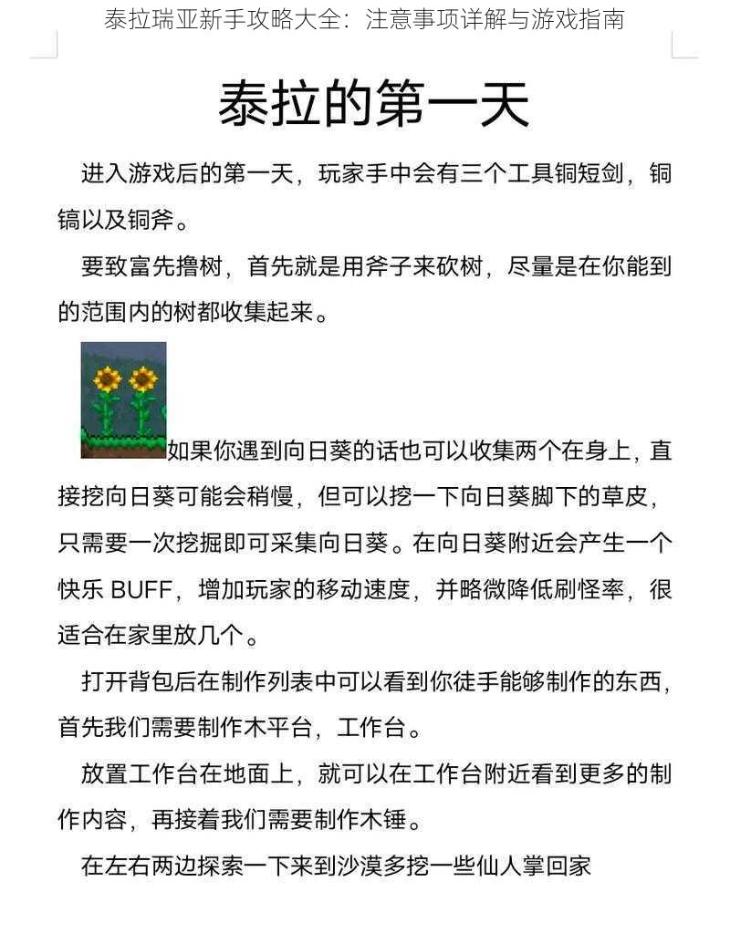 泰拉瑞亚新手攻略大全：注意事项详解与游戏指南