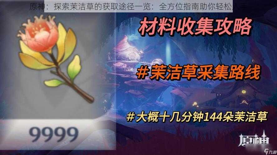 原神：探索茉洁草的获取途径一览：全方位指南助你轻松入手